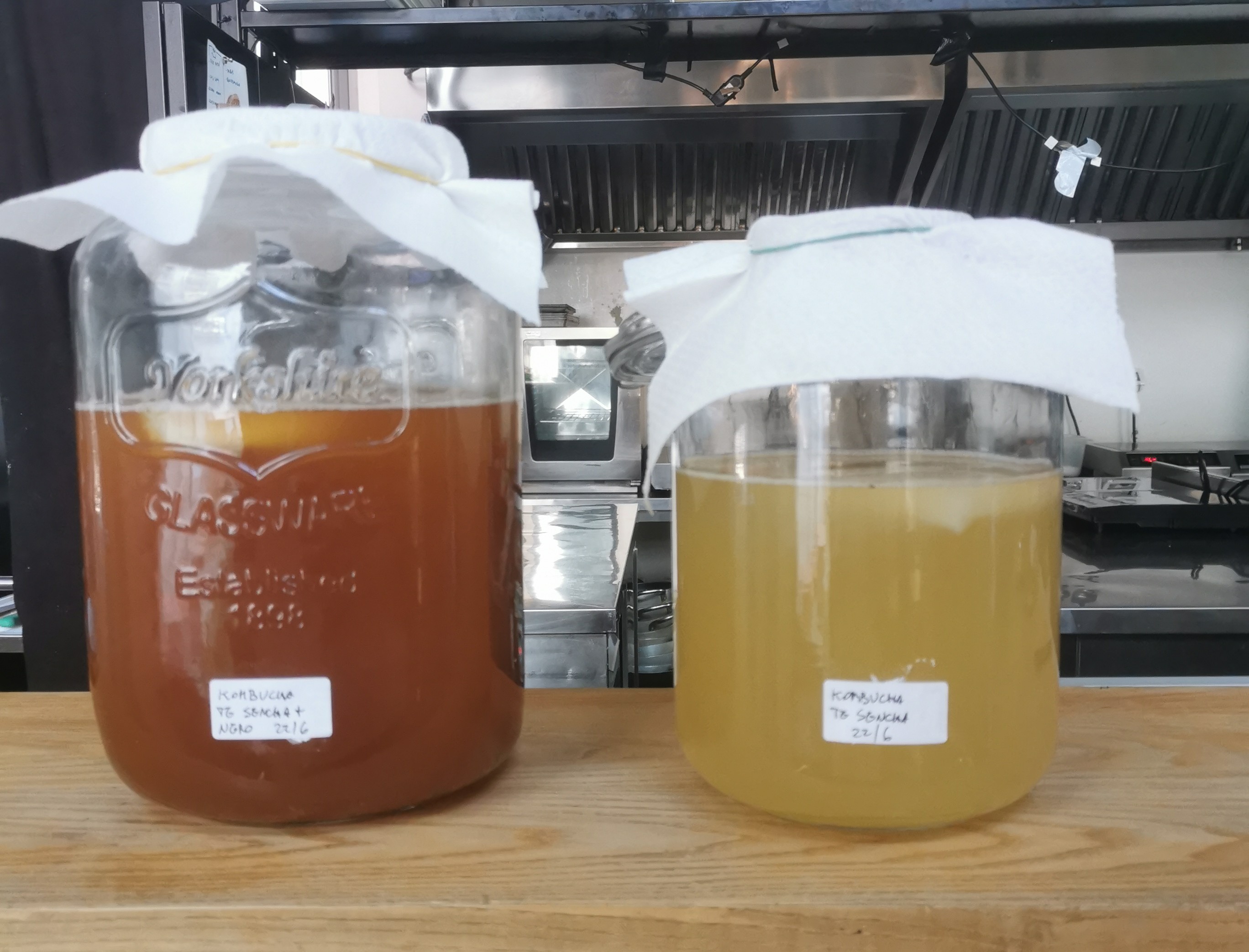 L’Arte della fermentazione spontanea: Kefir, Kombucha e Tepache.